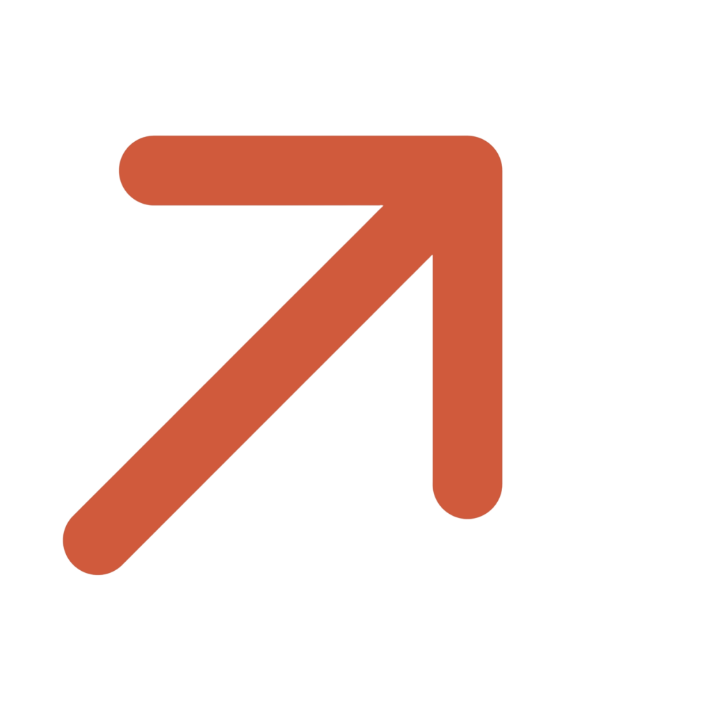 Small orange arrow symbol